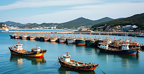 大(da)連-旅順-金石灘地質(zhi)公(gōng)園-棒棰島雙動(dòng)5日(ri)